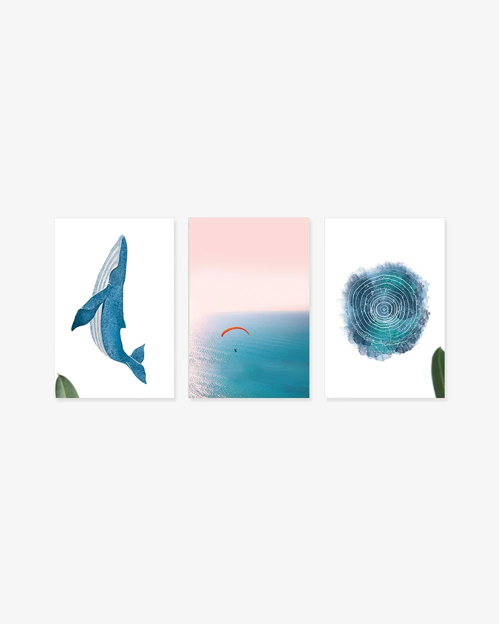 Bộ 3 Tranh Sea Beach Blue Dolphin